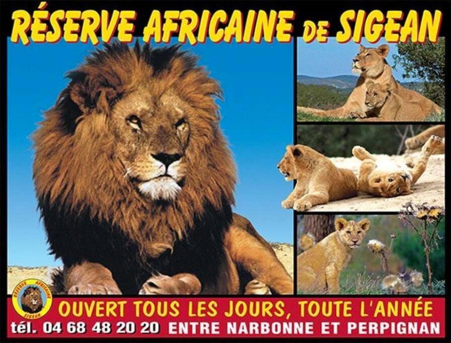 Appartement Les Halles נרבון מראה חיצוני תמונה